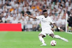 掌某支球隊 掌某支球隊